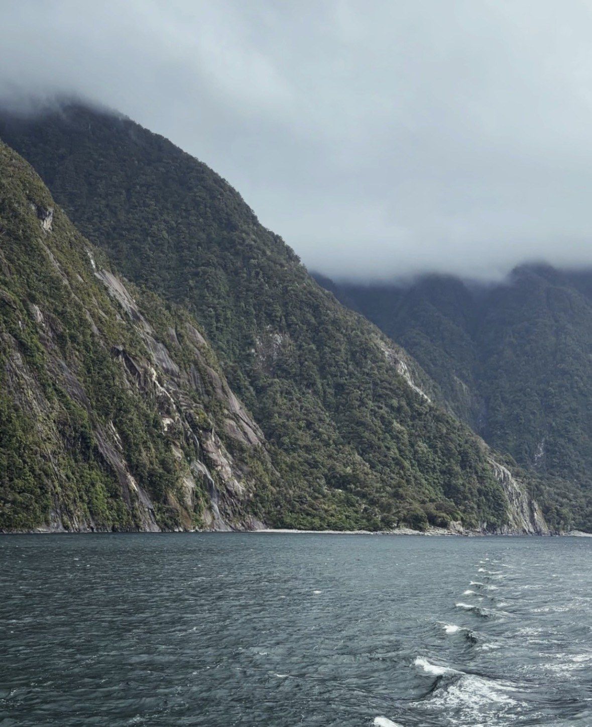 Boat wake beneath forested Milford Sound cliffs wrapped in low cloud