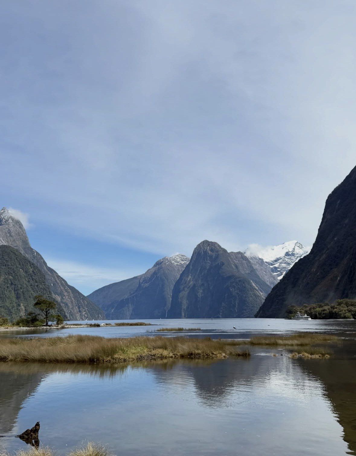 Tussock wetland reflecting snow-capped peaks at the head of Milford Sound